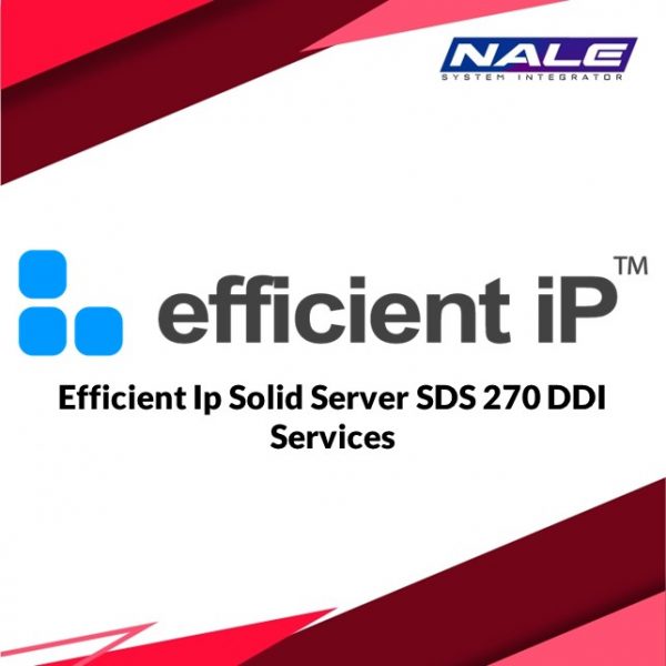 Efficient Ip Solid Server SDS 270 DDI Services
